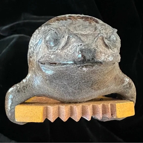 Froggy - Picture 3 of 10